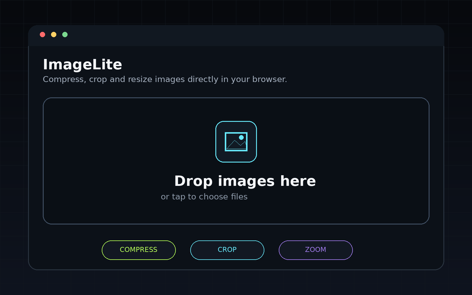 Preview of the ImageLite browser-based image optimization tool